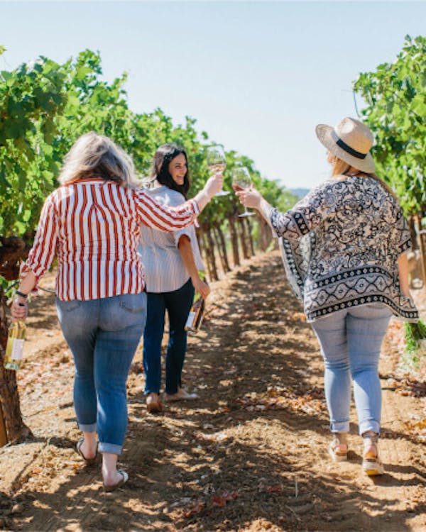 People strolling a vineyard sipping wine