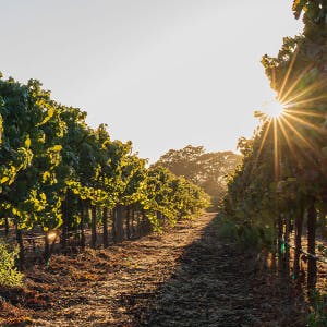 Don Davis - MacRostie Winery Estate House