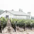 Spear Vineyards and Winery