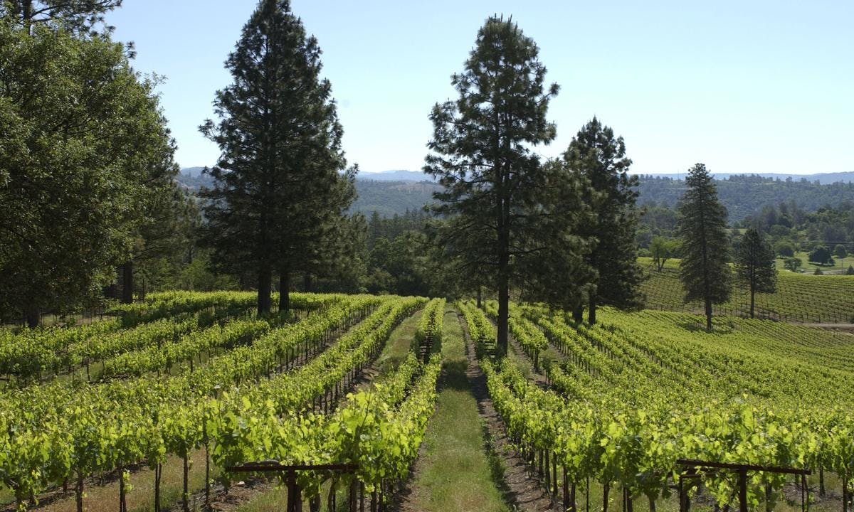 Ironstone Vineyards