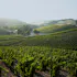 L'Aventure Winery