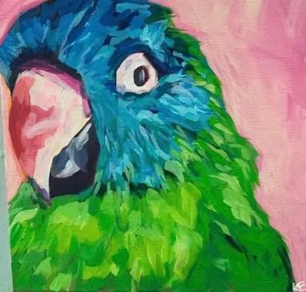 bird, beak, parrot, watercolor painting, art paint, painting