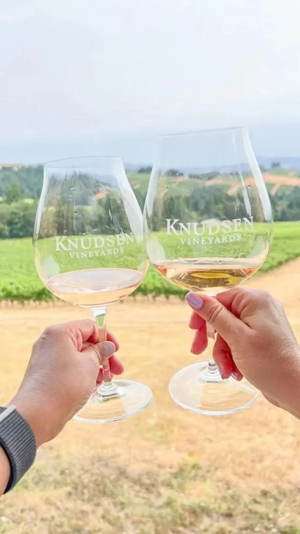 stemware, tableware, drinkware, wine glass, liquid, barware