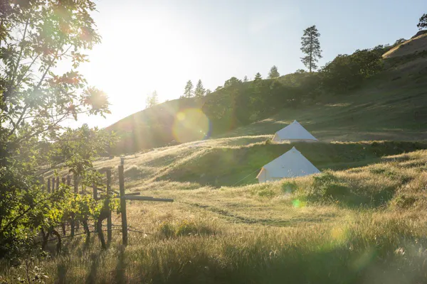 natural environment, tent, camping, ecoregion, hill, landscape