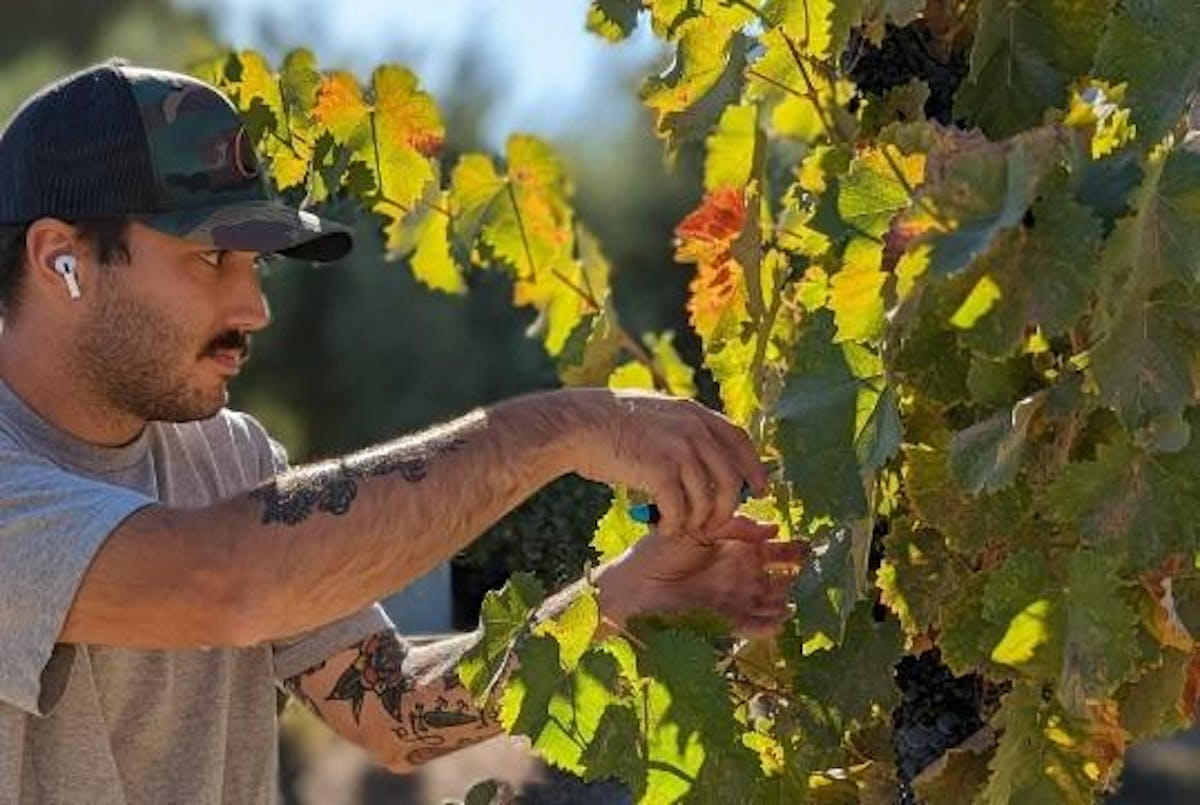 Venteux Vineyards Templeton, CA Tock