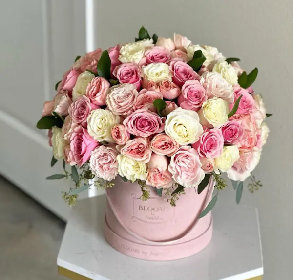 flower, plant, petal, flowerpot, hybrid tea rose, pink