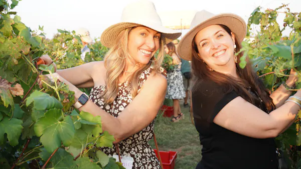 smile, happiness, summer, agriculture, sunglasses, fun