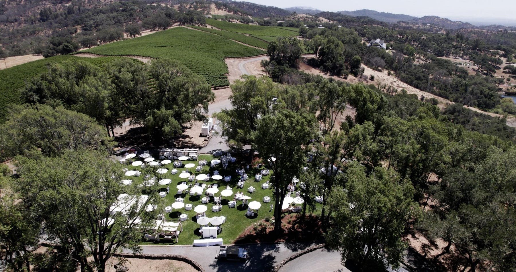 Chalk Hill Winery Chalk Hill Vineyard Overlook Experience