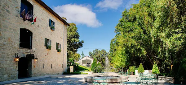 garden, landscaping, driveway, flowerpot