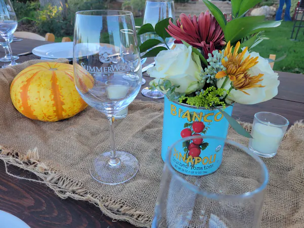 tableware, drinkware, stemware, barware, wine glass, serveware