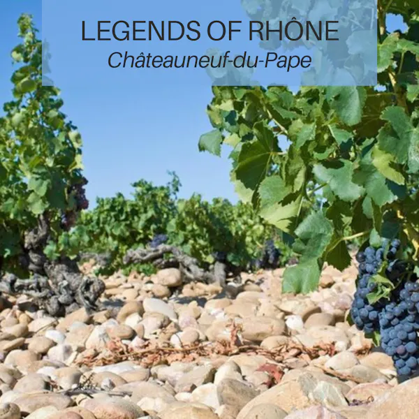 agriculture, grapes, soil, grape leaves, grapevines, vineyard