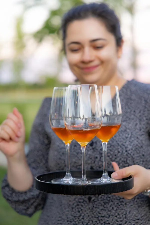 stemware, tableware, drinkware, wine glass, alcoholic drink, barware