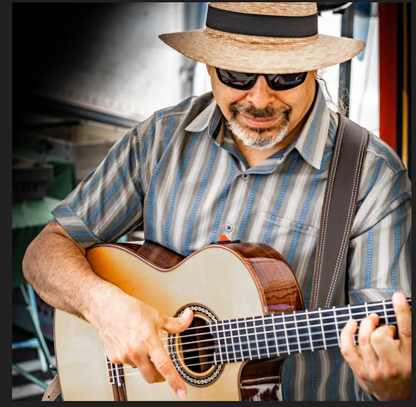 musical instrument, string instrument, plucked string instrument, chordophone, guitar, guitarist