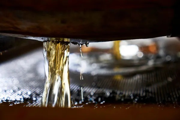 fluid, liquid, close-up, macro photography, drop