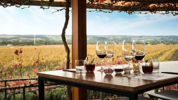 agriculture, field, plantation, farm, ranch, restaurant
