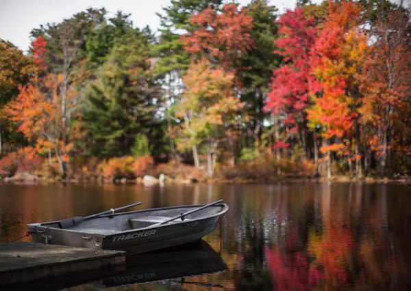 reflection, nature, tree, natural landscape, leaf, autumn