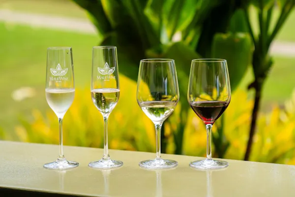 stemware, tableware, drinkware, wine glass, alcohol, barware
