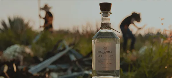 bottle, alcoholic drink, liquid, liquor, alcohol, glass bottle