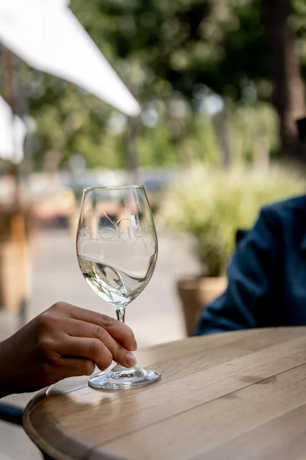 tableware, stemware, drinkware, table, wine glass, barware