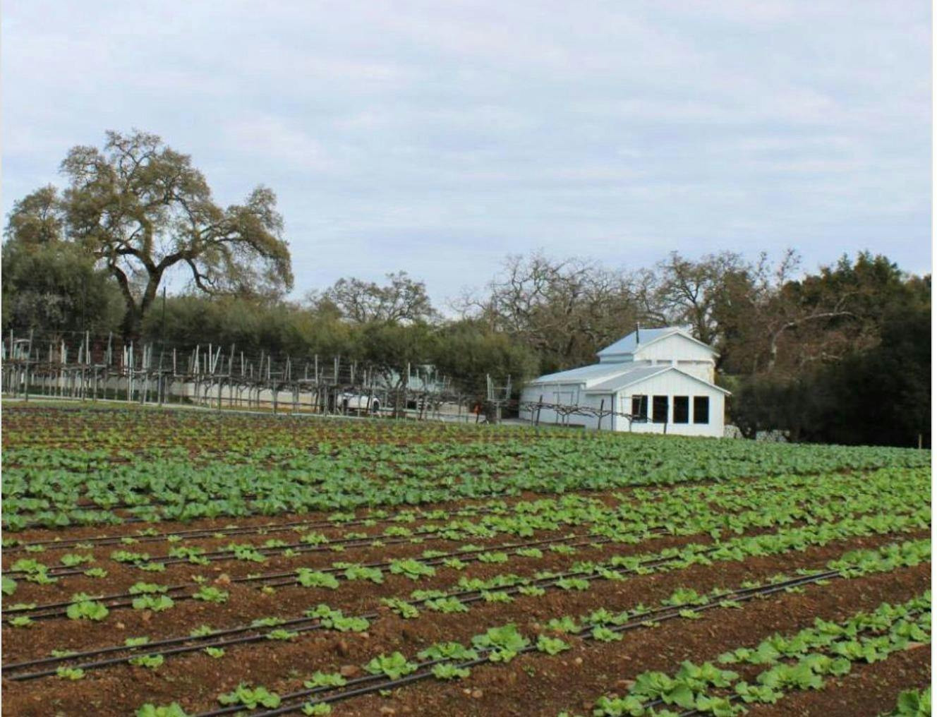 MOHI Ranch