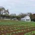 MOHI Ranch