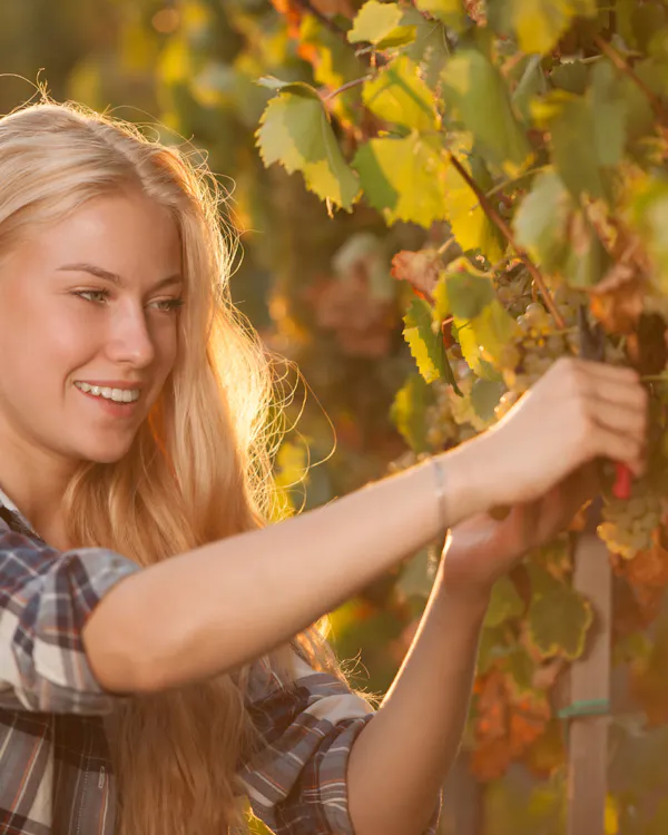 happiness, people in nature, blond, sunlight, brown hair, autumn