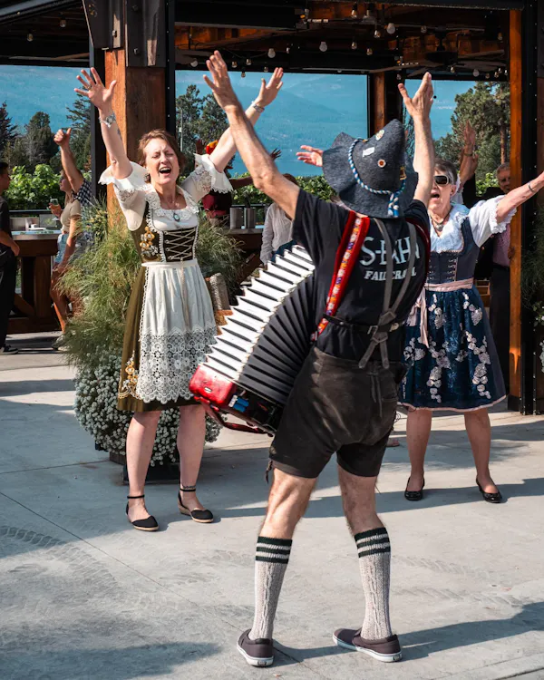 free reed aerophone, accordion, entertainment, accordionist, performing arts, squeezebox