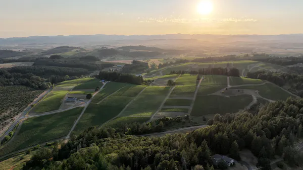 natural landscape, plain, landscape, field, aerial photography, plantation
