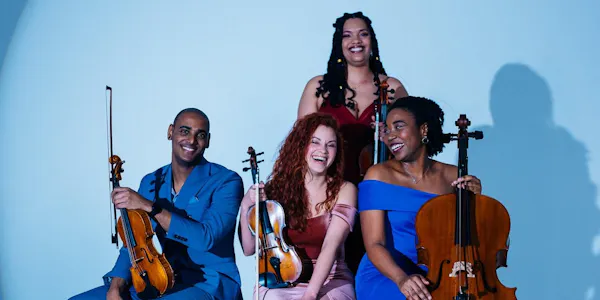 string instrument, violin family, chordophone, violinist, bowed string instrument, musical instrument