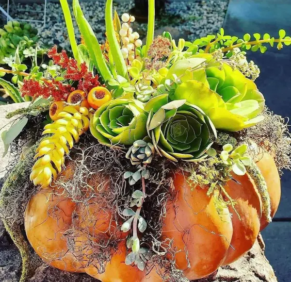 flower, yellow, flower bouquet, floristry, orange, cut flowers