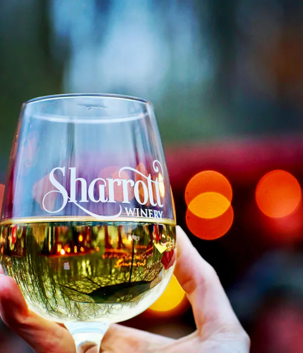 stemware, drink, wine glass, drinkware, alcohol, glass