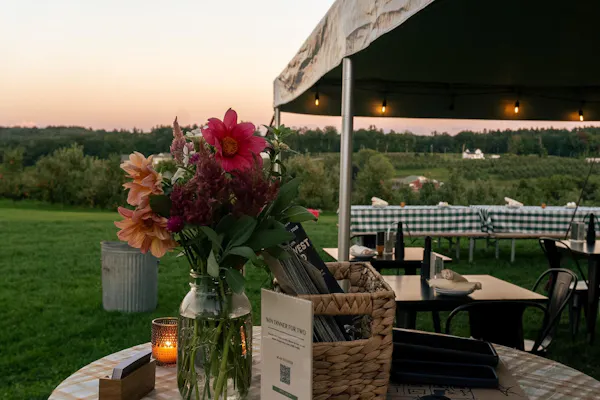 furniture, table, outdoor furniture, chair, outdoor table, tablecloth