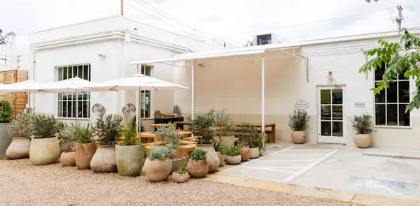 flowerpot, furniture, chair, houseplant, outdoor table, outdoor furniture