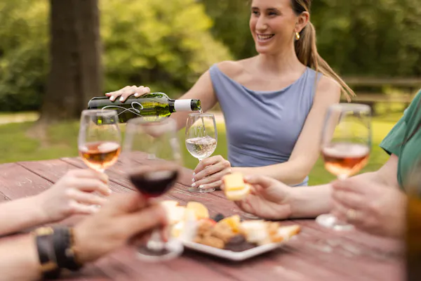 tableware, drinkware, alcoholic drink, stemware, wine glass, liquor