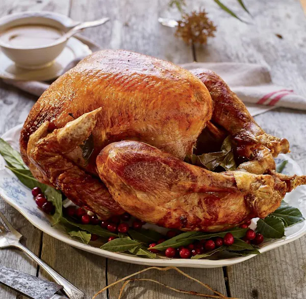 food, turkey meat, tableware, drunken chicken, hendl, recipe