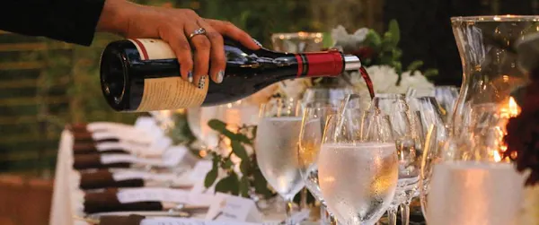 drinkware, bottle, stemware, tableware, alcoholic drink, barware
