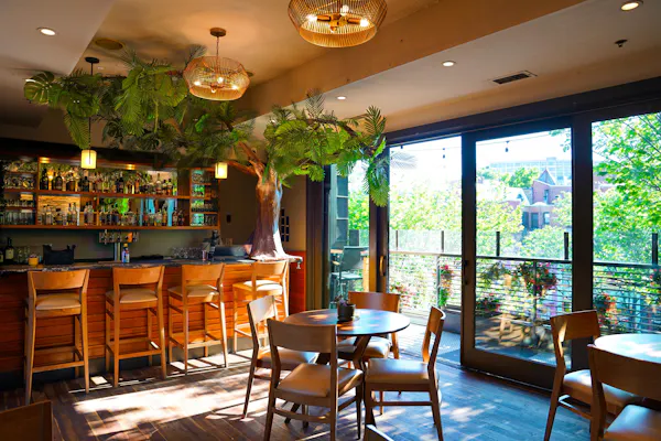 furniture, table, chair, restaurant, wood stain, kitchen & dining room table