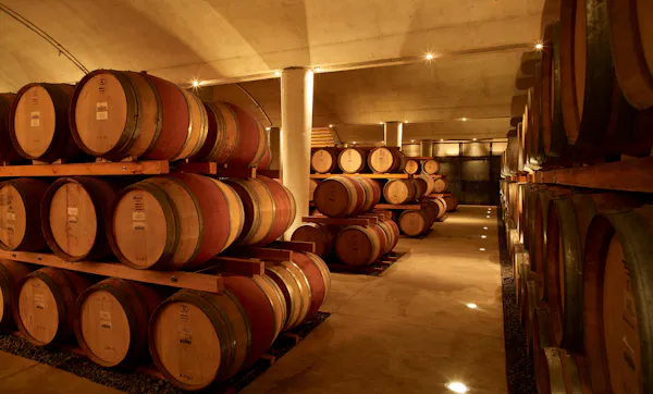 barrel, winery, wine cellar, mass production, drink, brewery