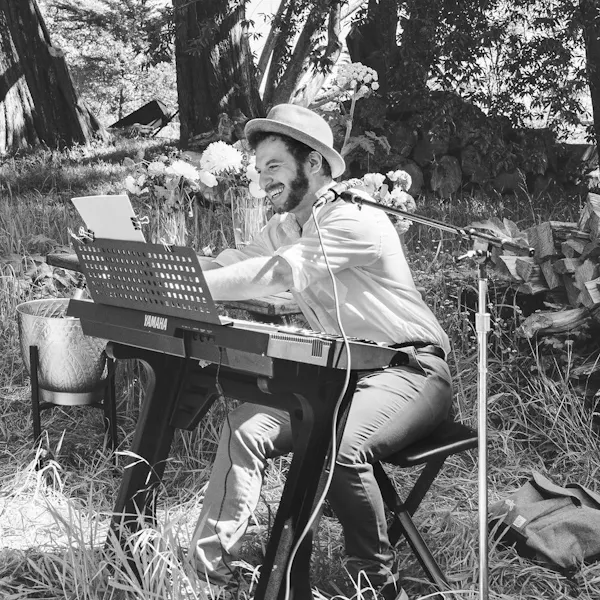 musical instrument, music, musician, keyboard, hat, artist