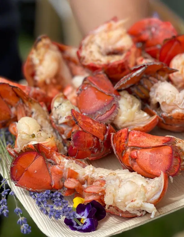 food, tableware, ingredient, arthropod, seafood boil, recipe