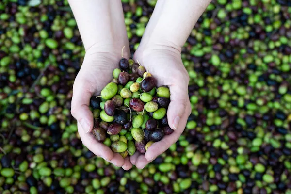 green, produce, ingredient, food, natural foods, fruit