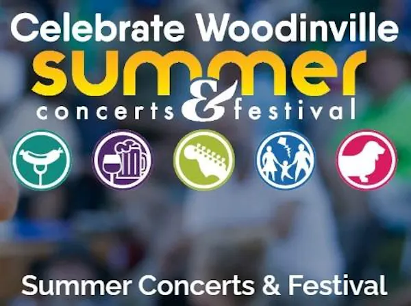 crowd, public event, entertainment, musical ensemble, festival, block party