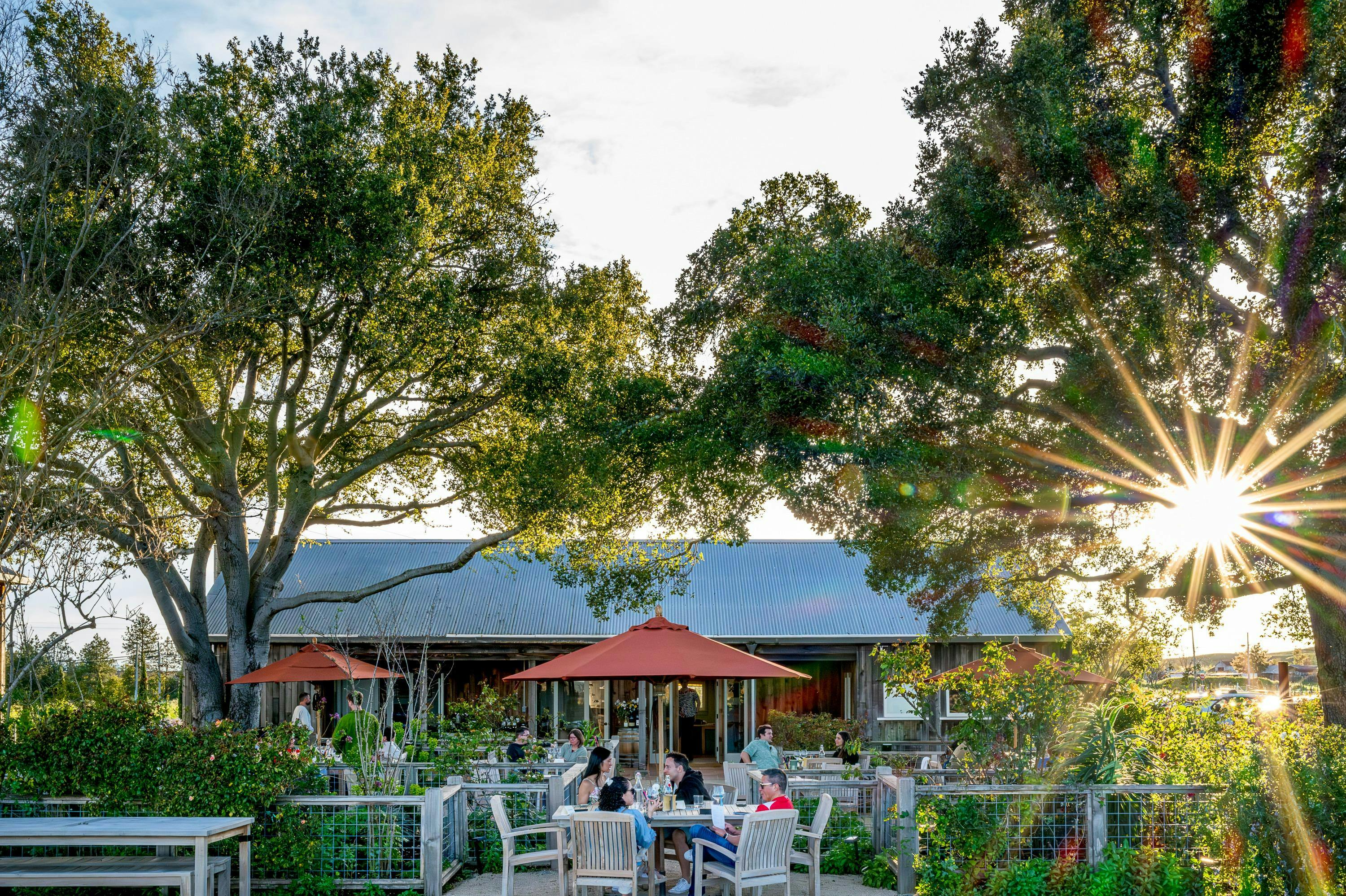 Saintsbury Winery