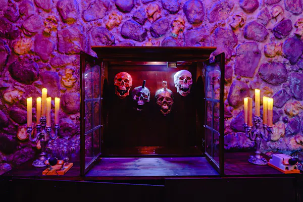 purple, decoration, lighting, entertainment, candle, violet