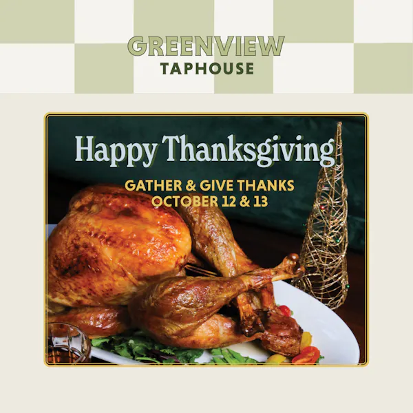 bird, turkey meat, meat, thanksgiving, chicken, roast chicken