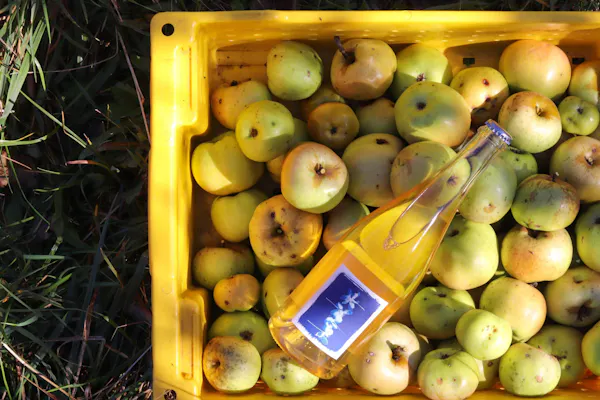 food, produce, fruit, ingredient, natural foods, apple