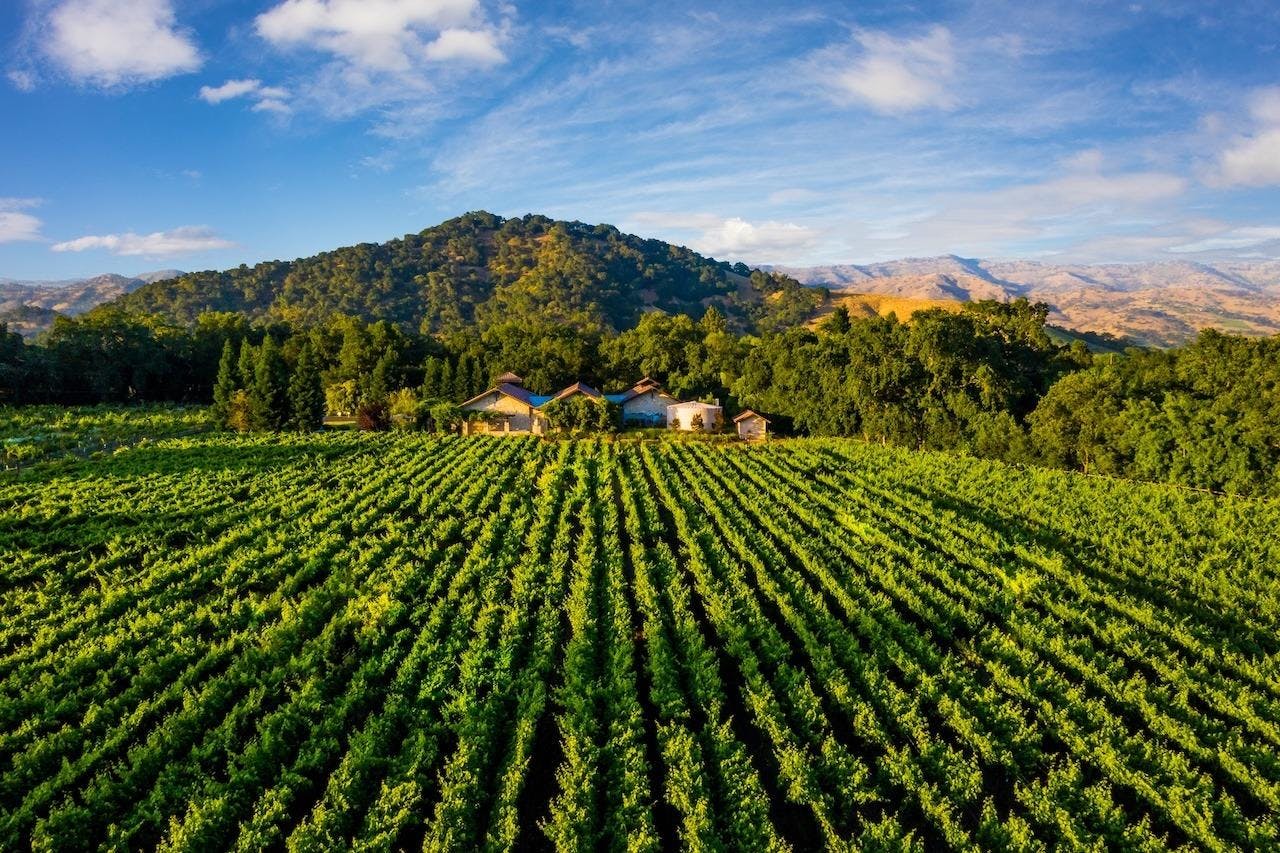 Bell Wine Cellars