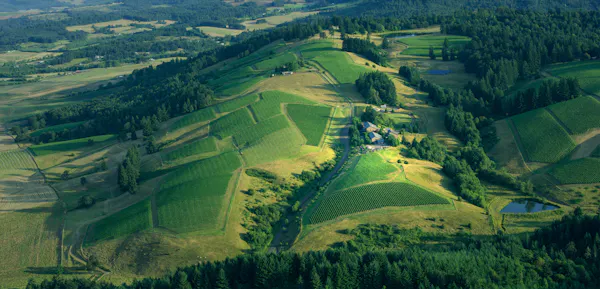 green, natural landscape, hill, highland, grassland, field
