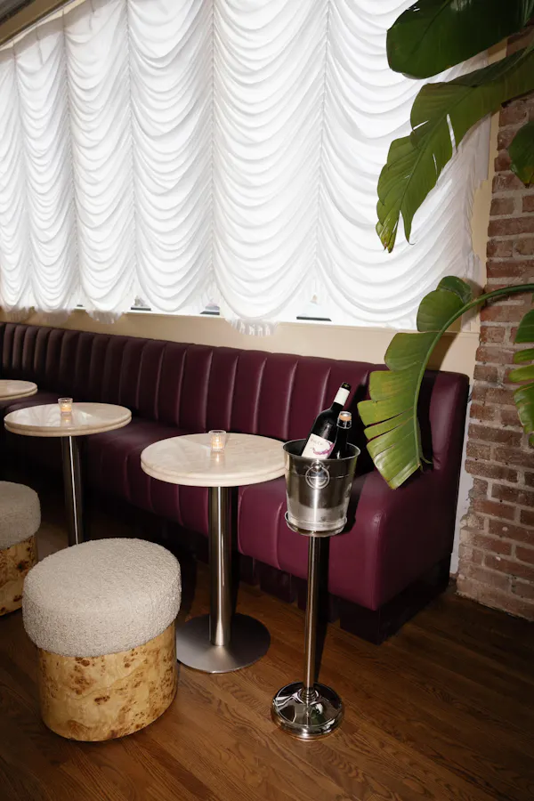 property, furniture, table, plant, wood, textile