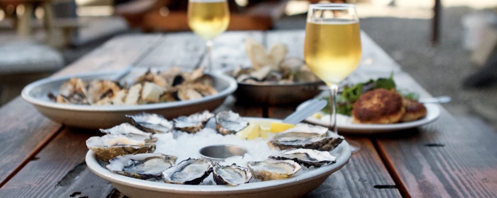 Hama Hama Oyster Saloon